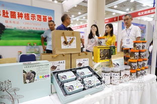 魚(yú)臺(tái)79家企業(yè)亮相省城，生態(tài)農(nóng)產(chǎn)品與保潔服務(wù)雙星閃耀